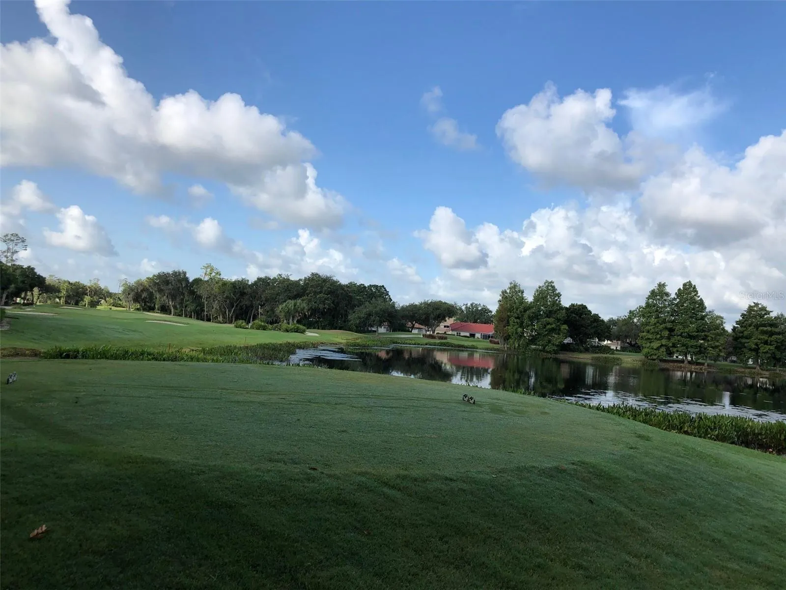 Each tee offers 7 placements, making play accessible for all.
