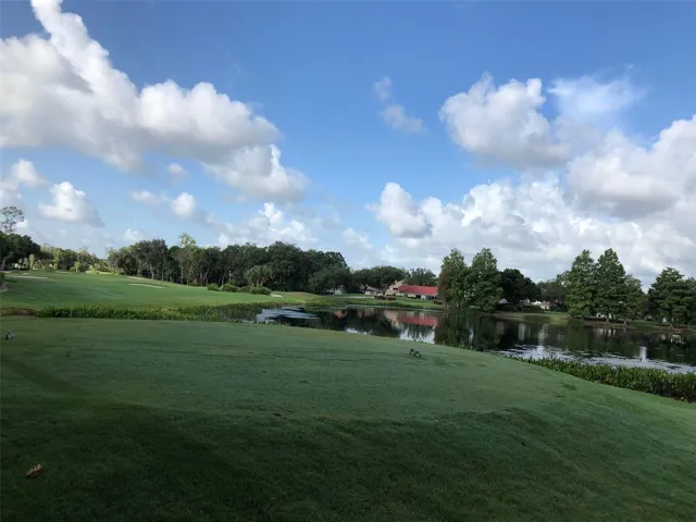 Each tee offers 7 placements, making play accessible for all.