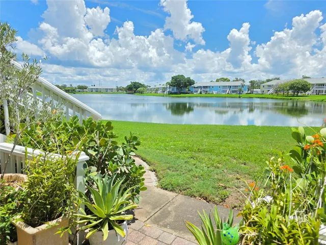 View from the back patio