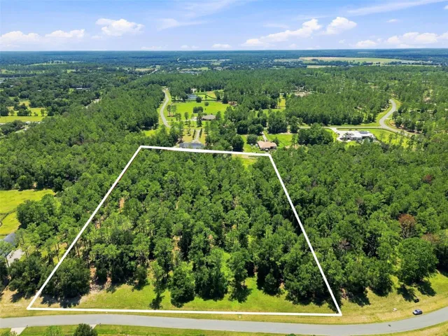 Beautiful "High & Dry" 5.28 acres