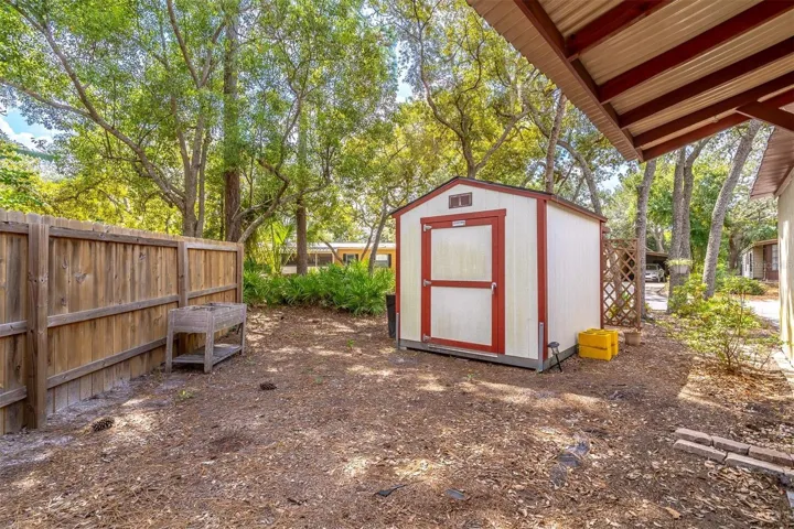 Large Tough Shed in side yard