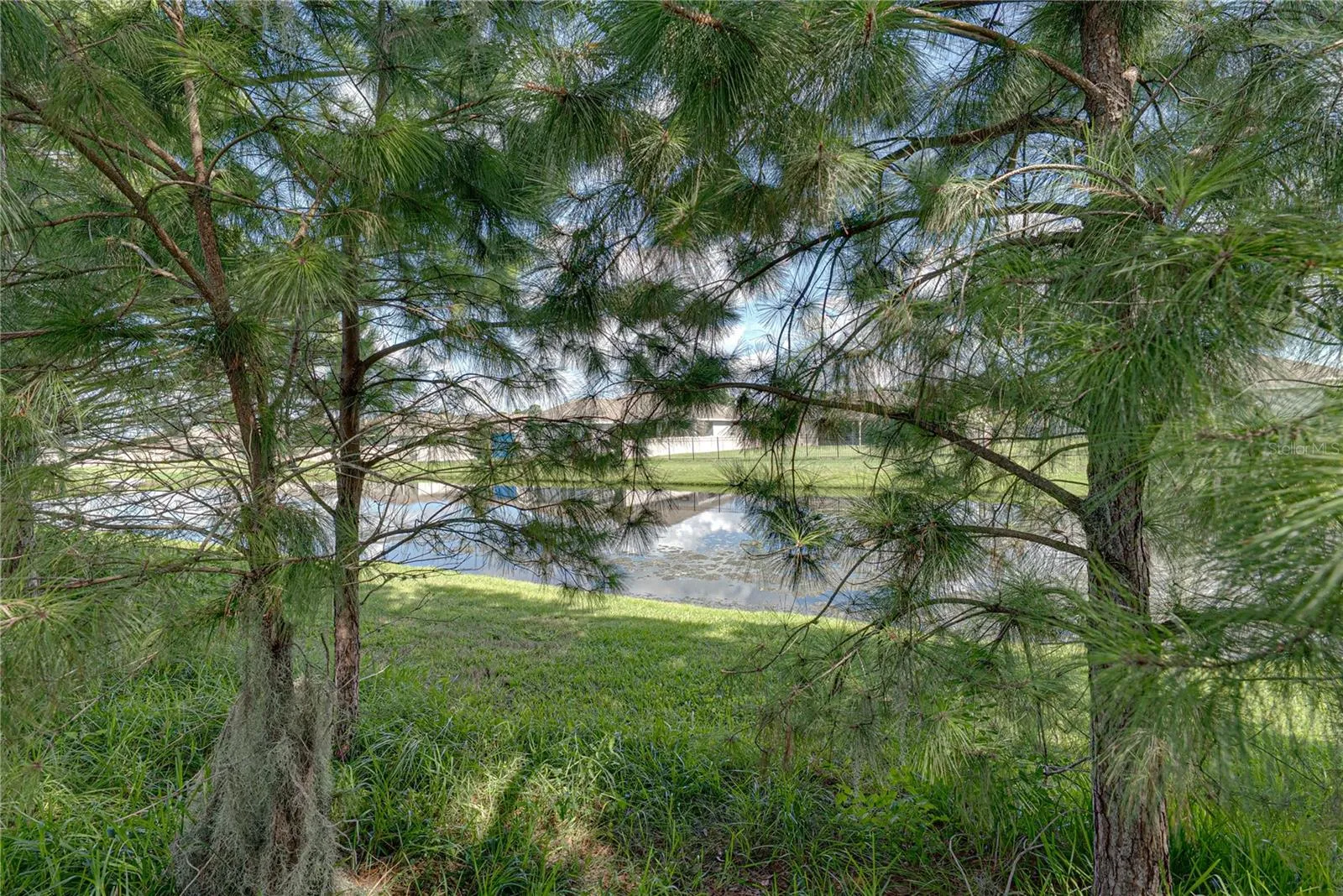 1236 Evergreen Park Cir, Lakeland, Florida 33813 — photo 27