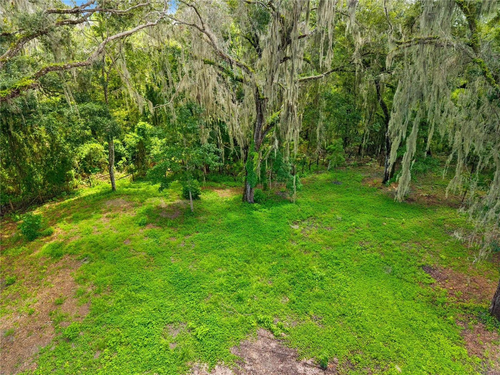 Aerial Wooded Acreage