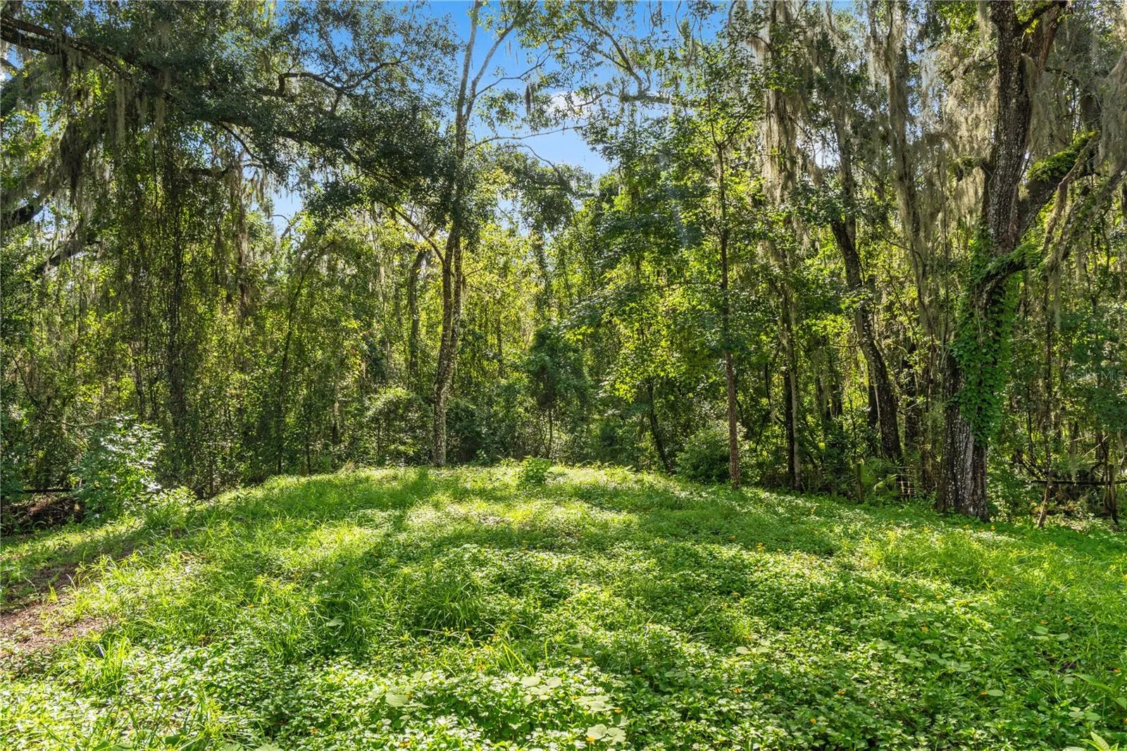 Wooded Grounds Trail