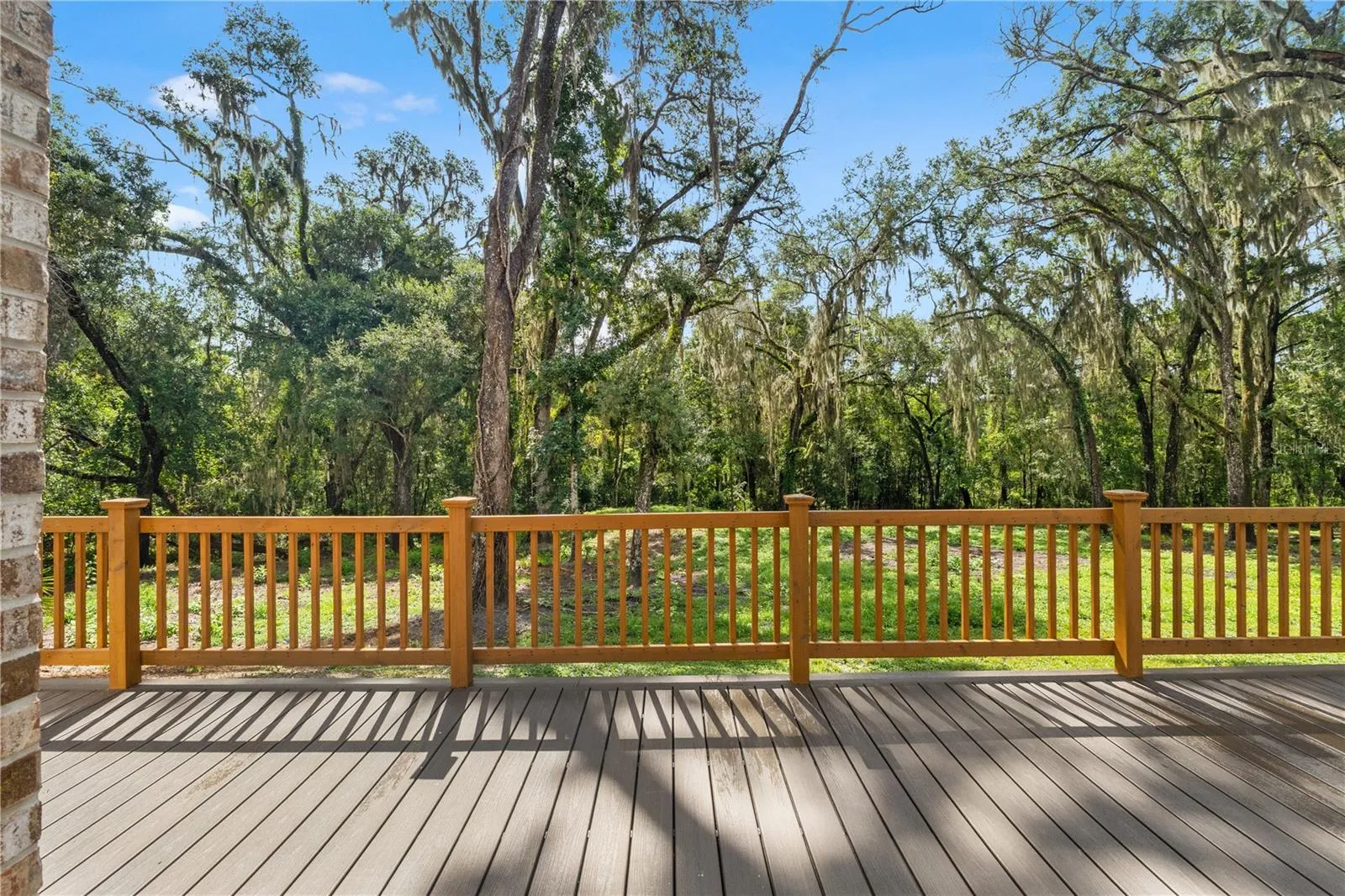 Deck Treeline View