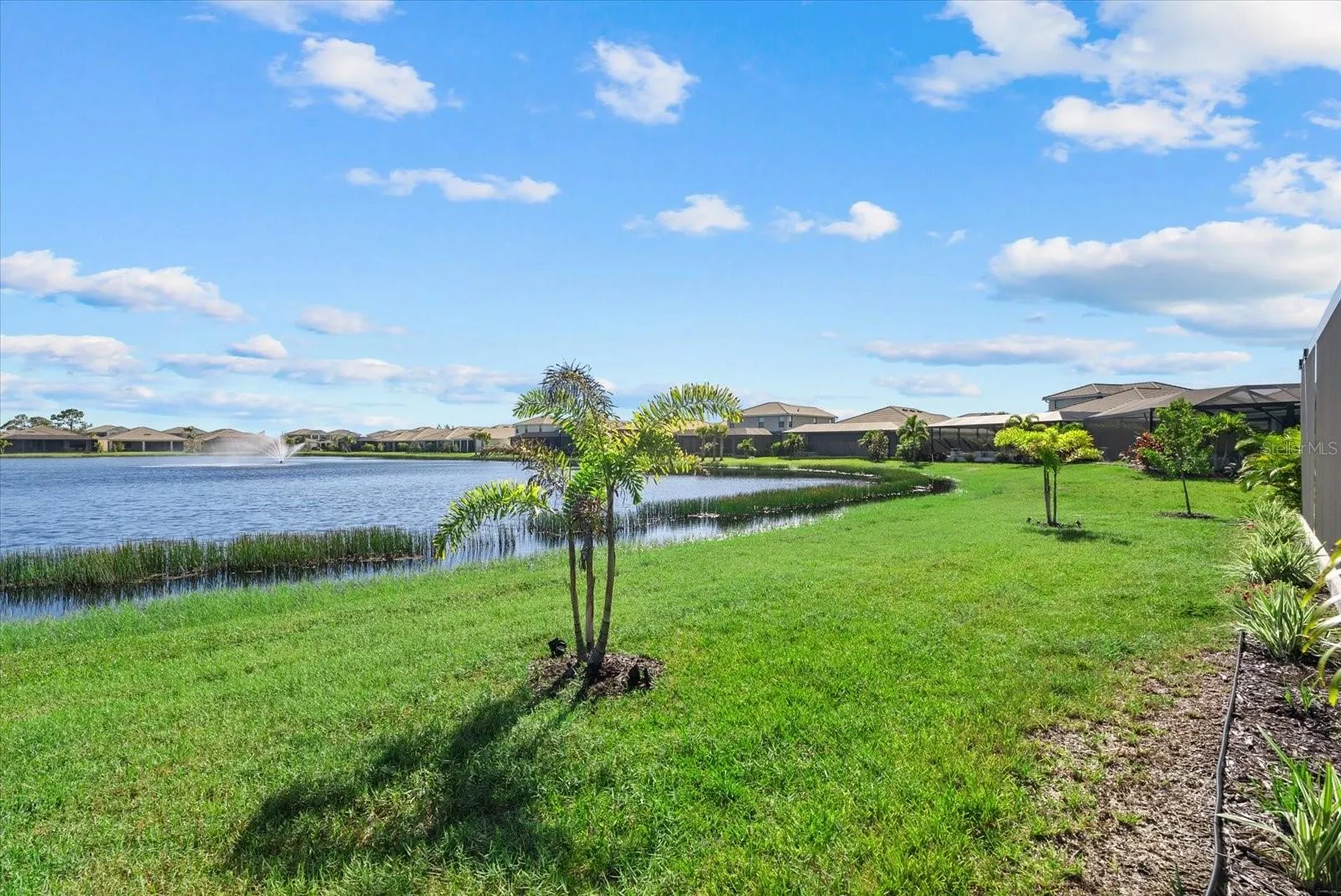 Backyard Water Views