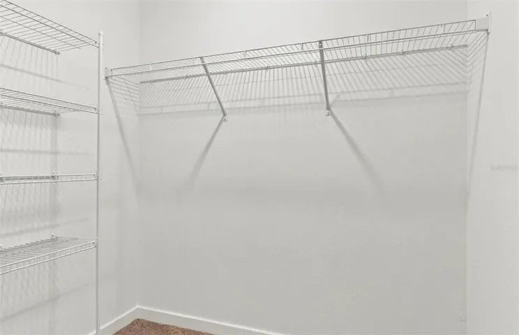 Owner's Walk-in Closet