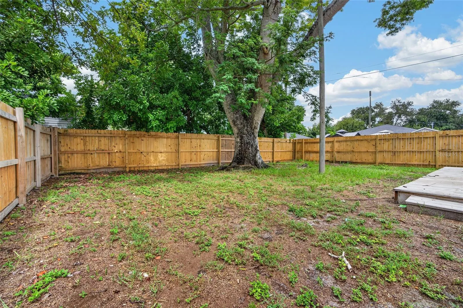 Back Yard