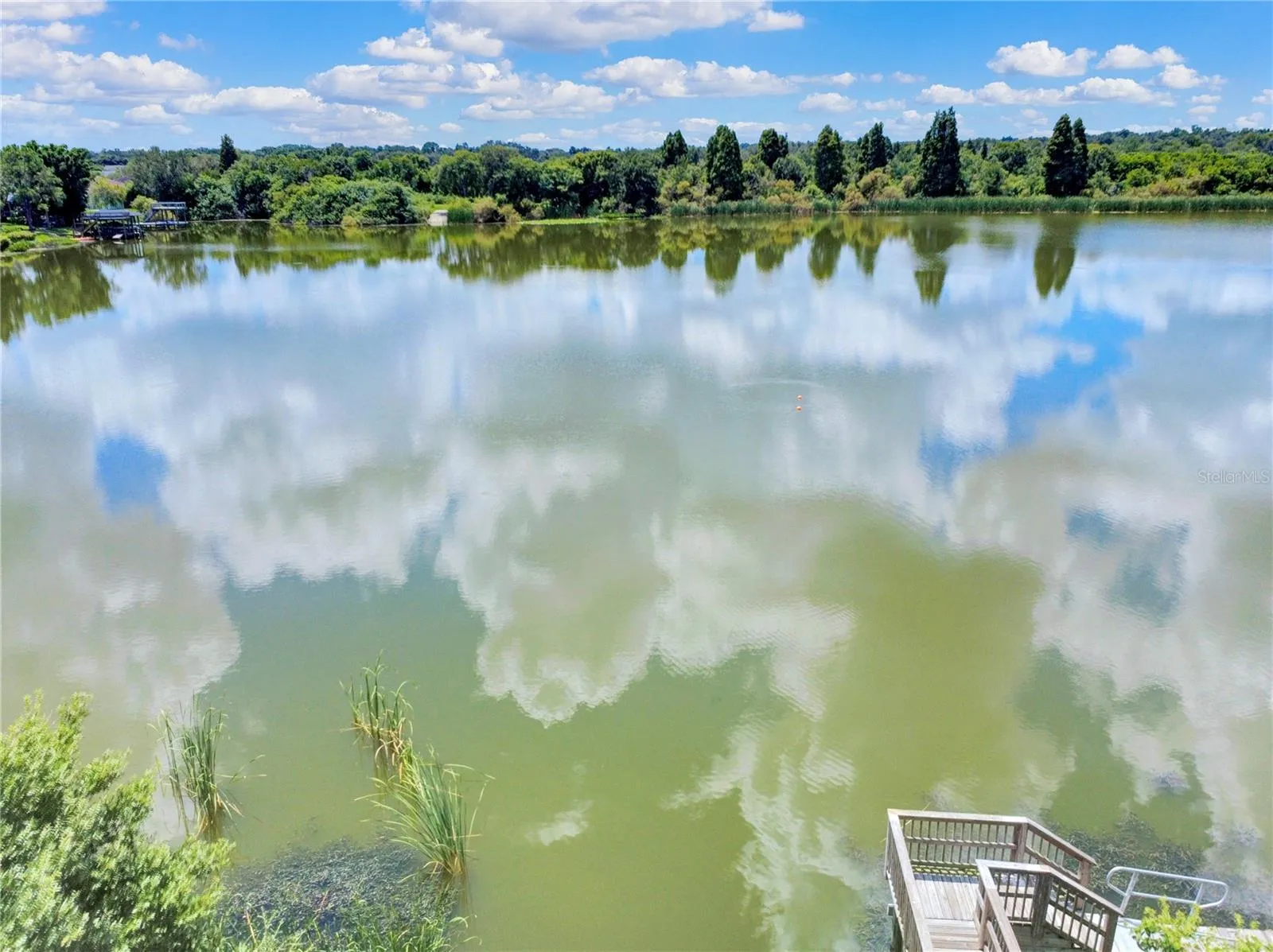 Lake Mango