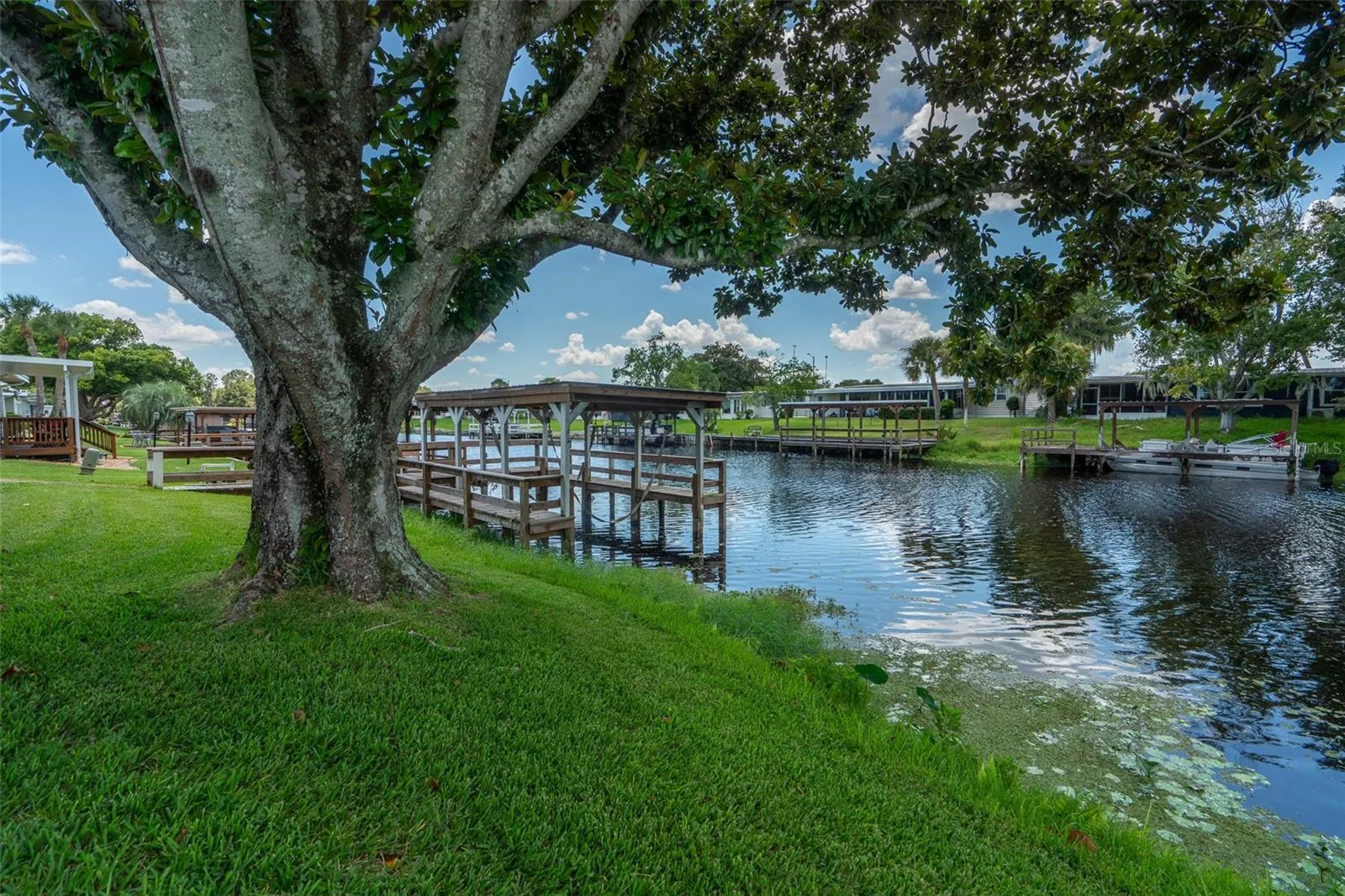 Rear Canal View