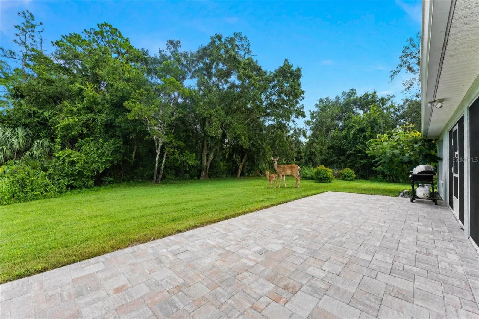 Pavered brick patio and visitors.