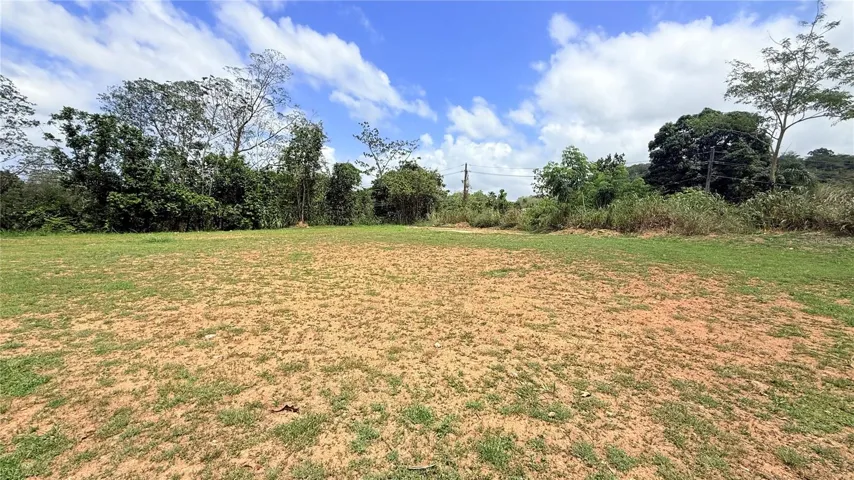 Flat lot