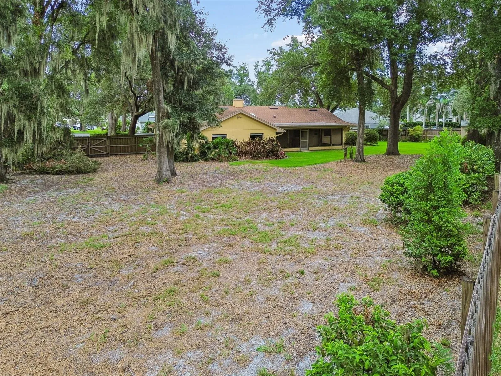 Backyard view - this might be a great spot for a huge garden