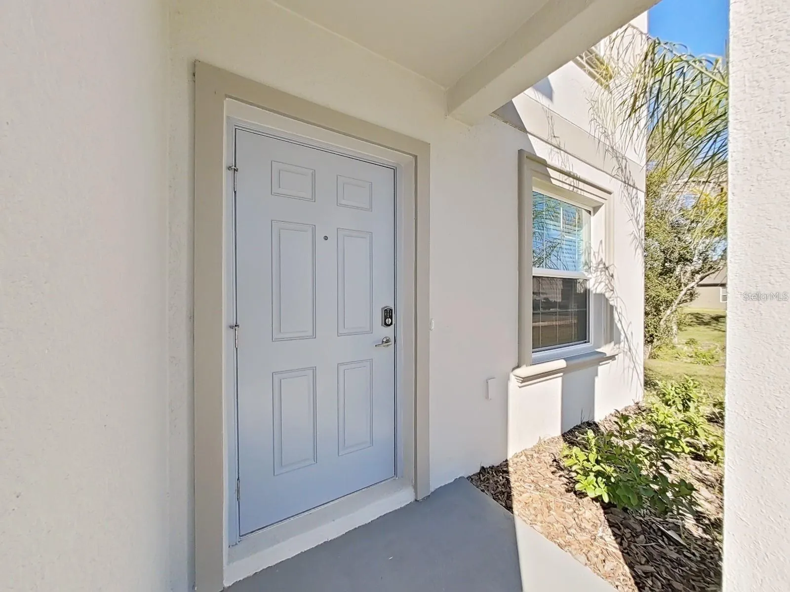 House Door