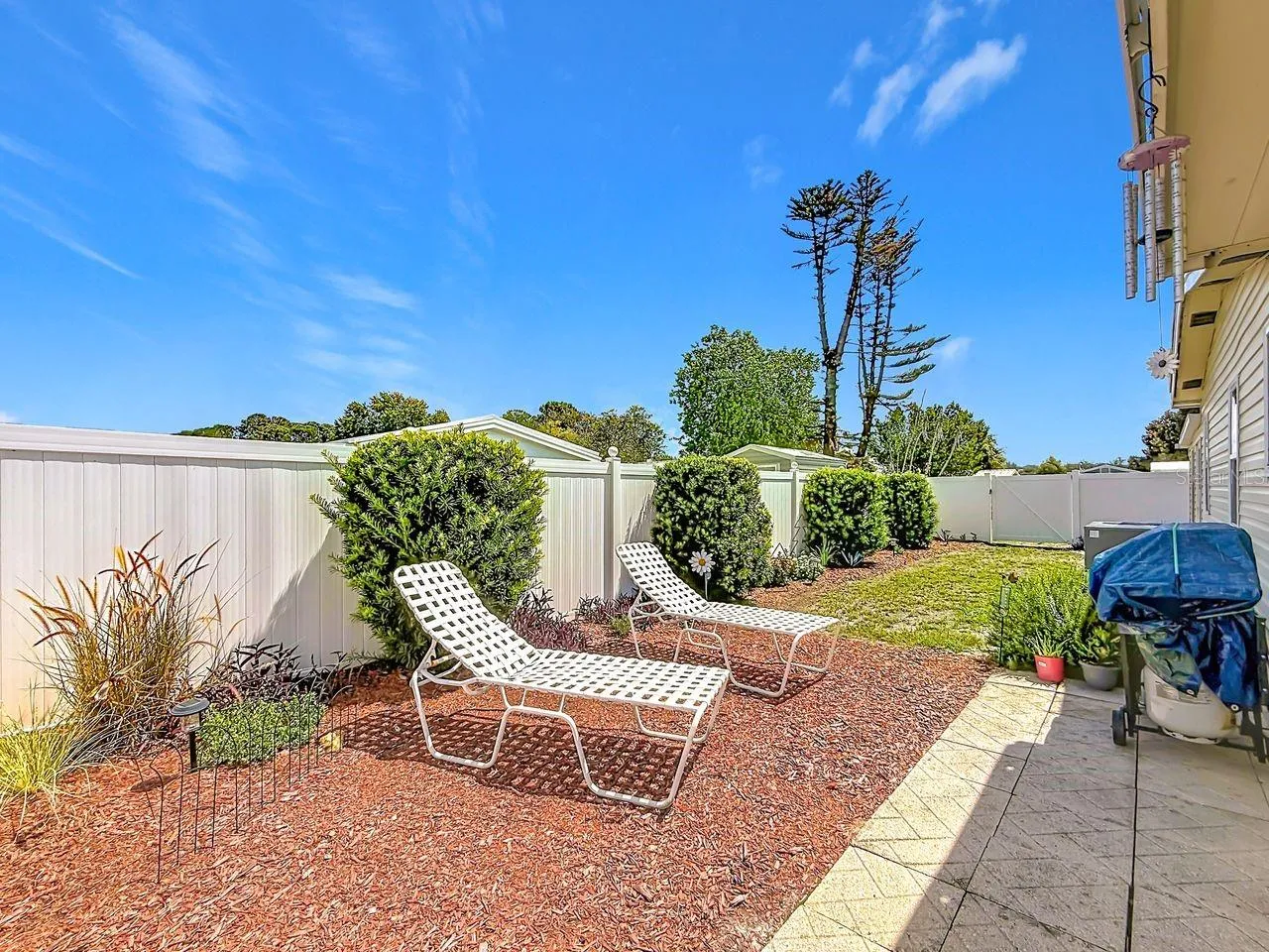 Back yard