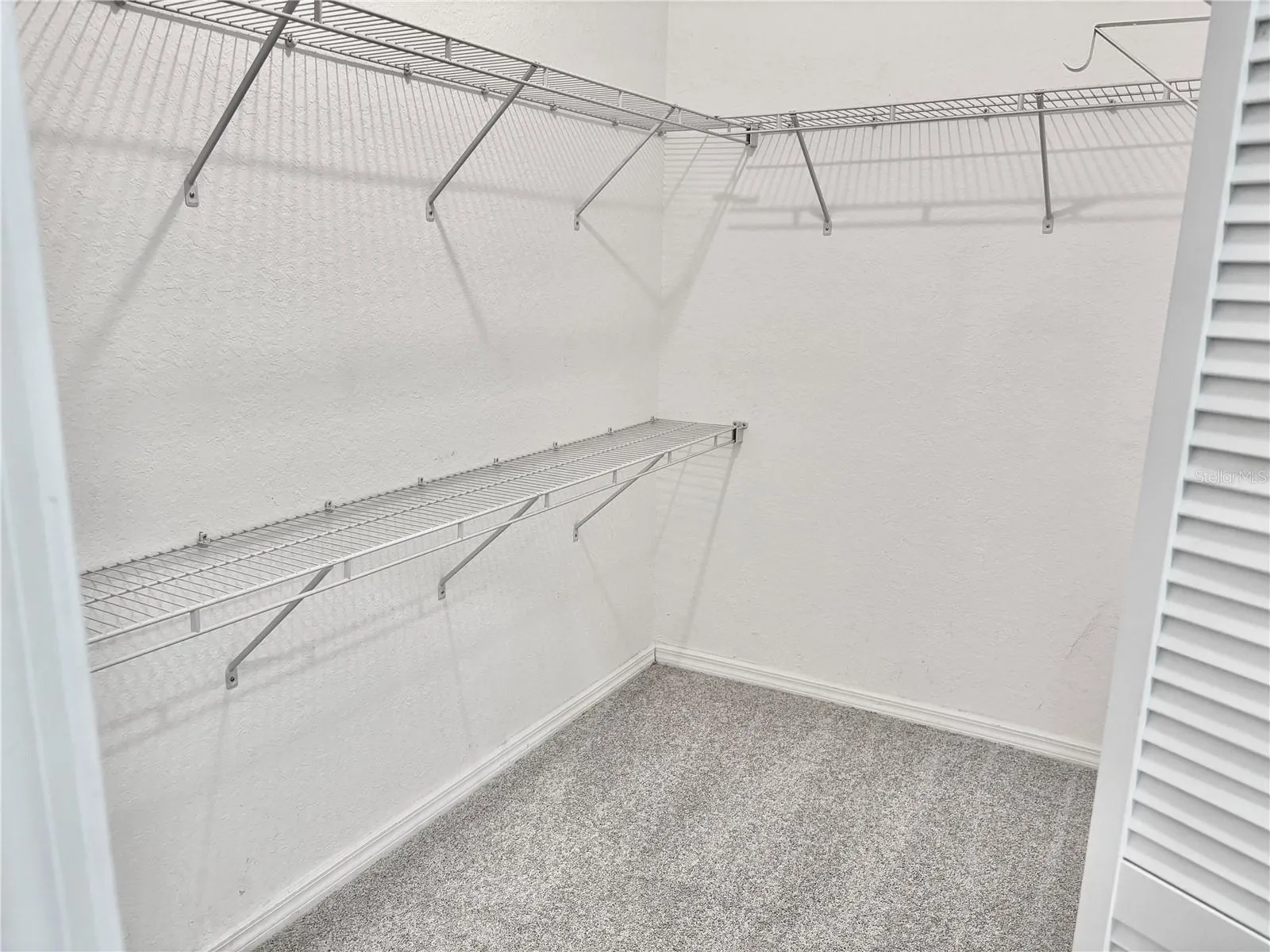 Walk-in closet in primary suite with fresh carpet.