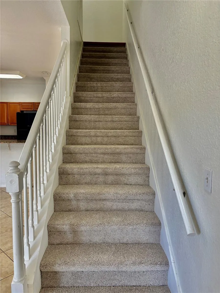 Stairs with brand new carpet.