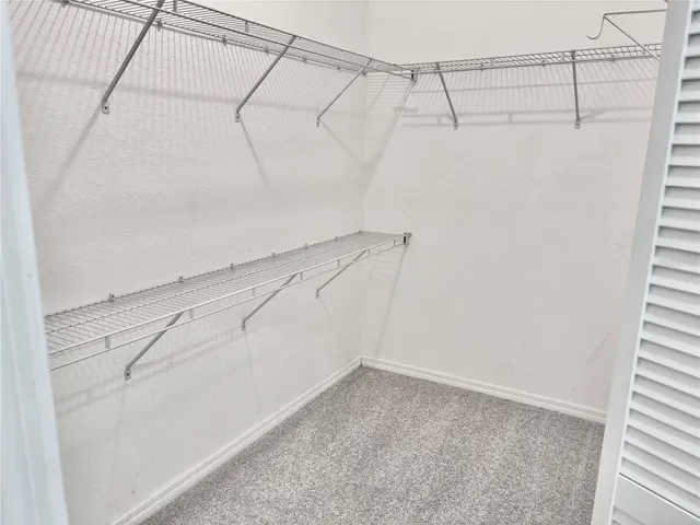Walk-in closet in primary suite with fresh carpet.