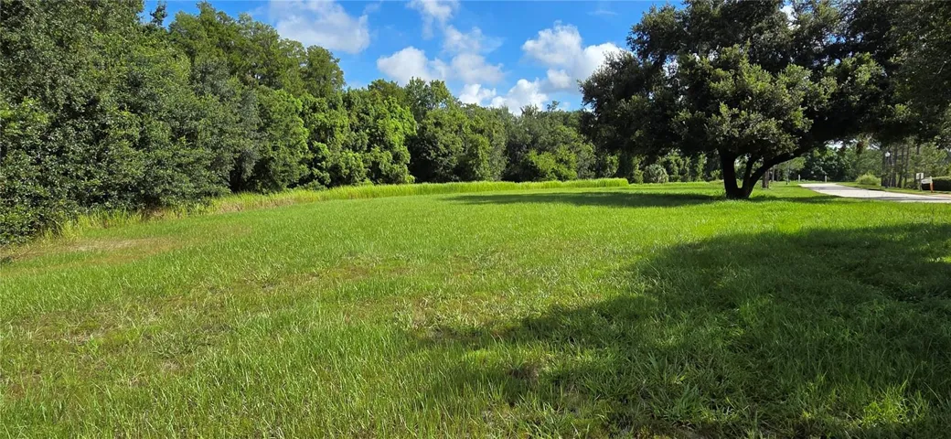 NORTHERLY VIEW OF CLEARED PORTION OF LOT