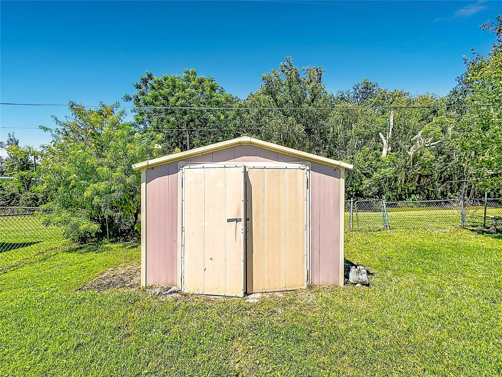 Shed
