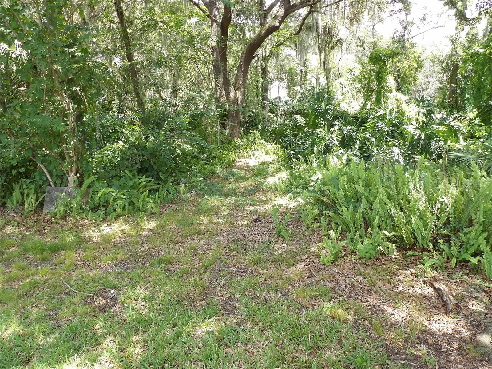 6282 Forestwood Dr E, Lakeland, Florida 33811 — photo 37