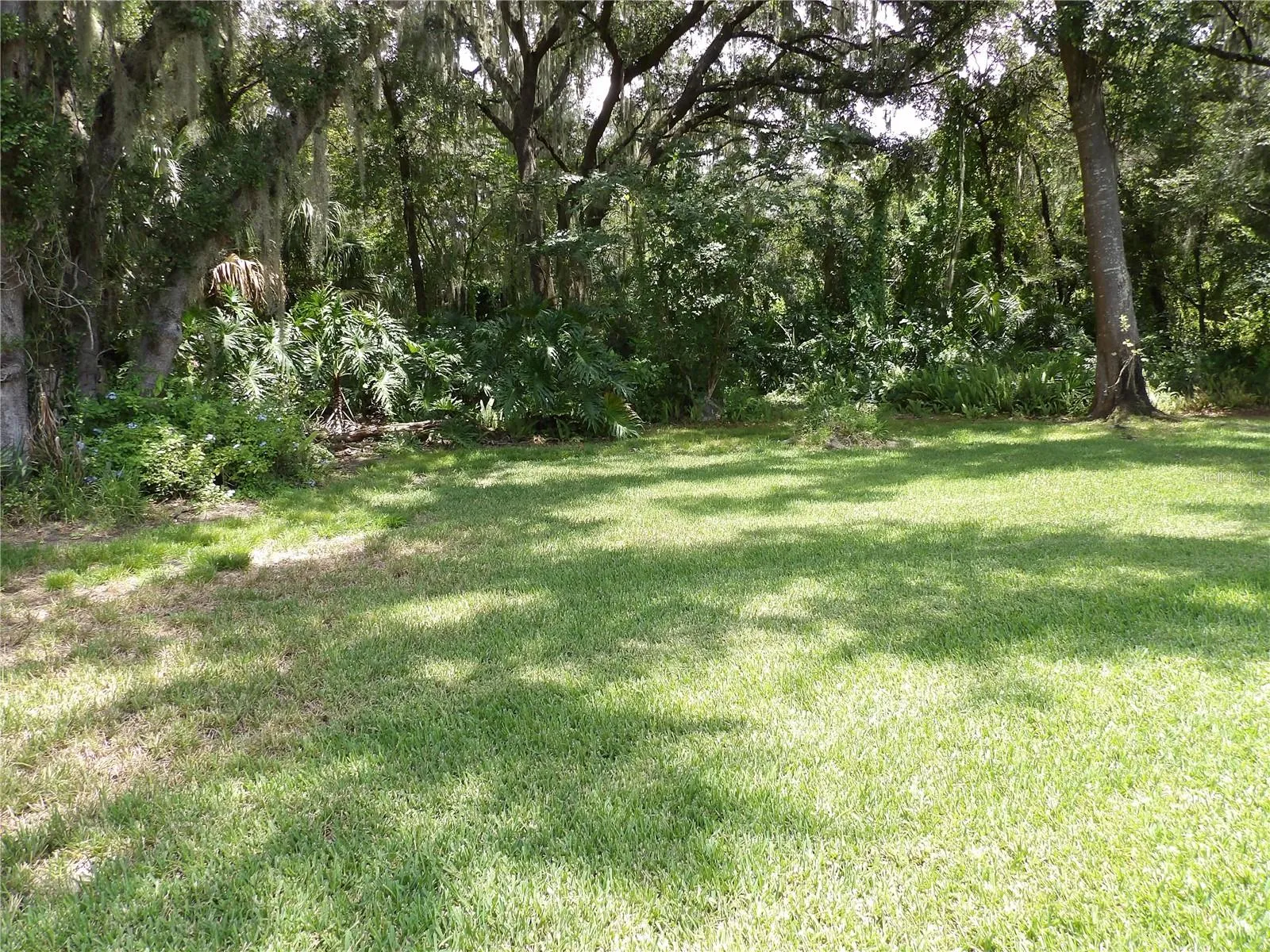 6282 Forestwood Dr E, Lakeland, Florida 33811 — photo 36