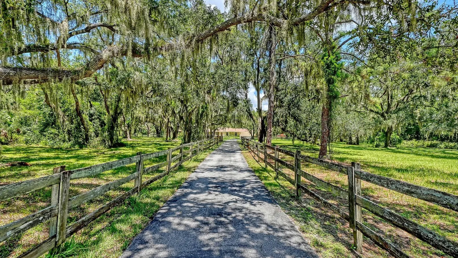 Beautiful Canopy Leading to the Residence