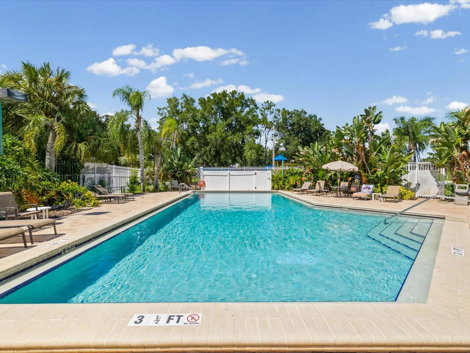 Pool Surrounded by Tropical Landscaping