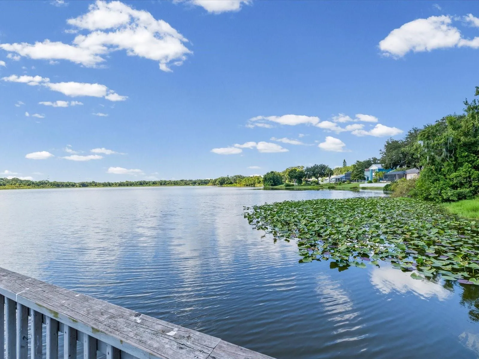Beautiful Lake