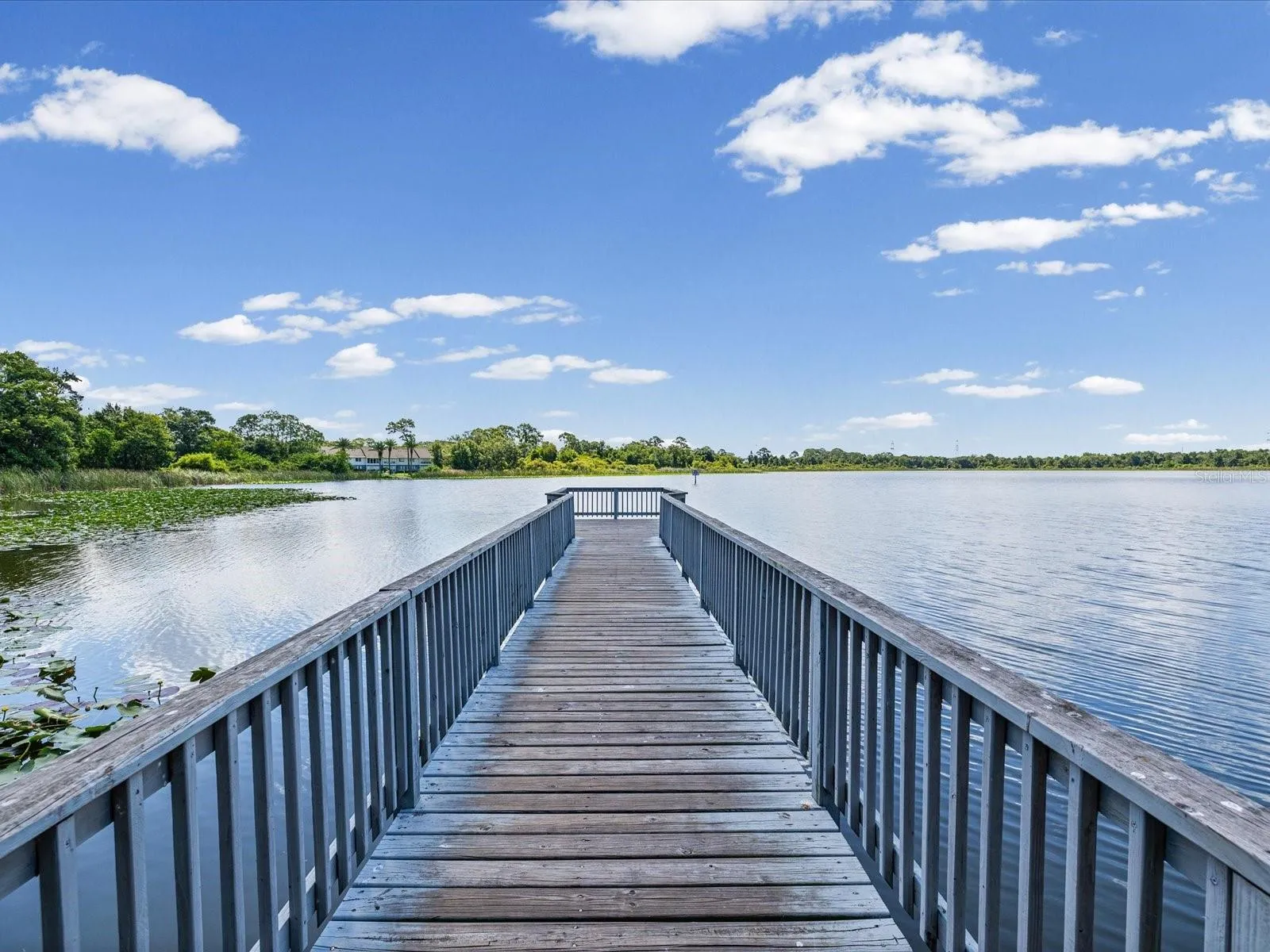 Beautiful Lake