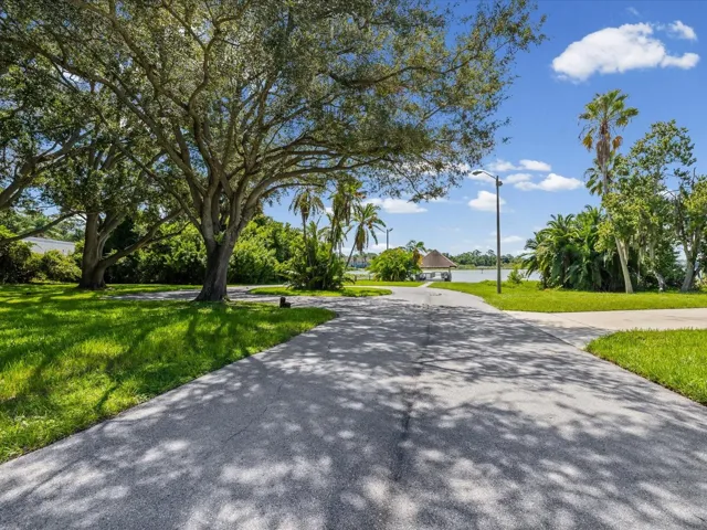 Drive/Walking Trail to the Lake