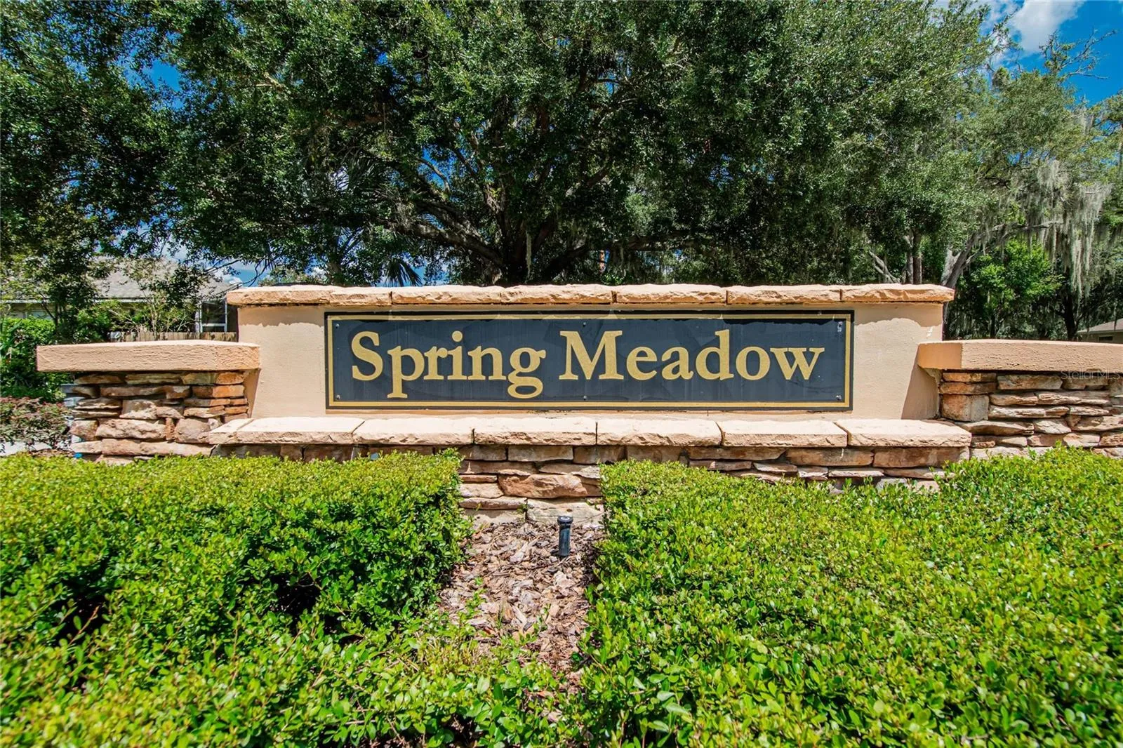 2803 Brooke Pines Ct, Plant City, Florida 33566 — photo 52