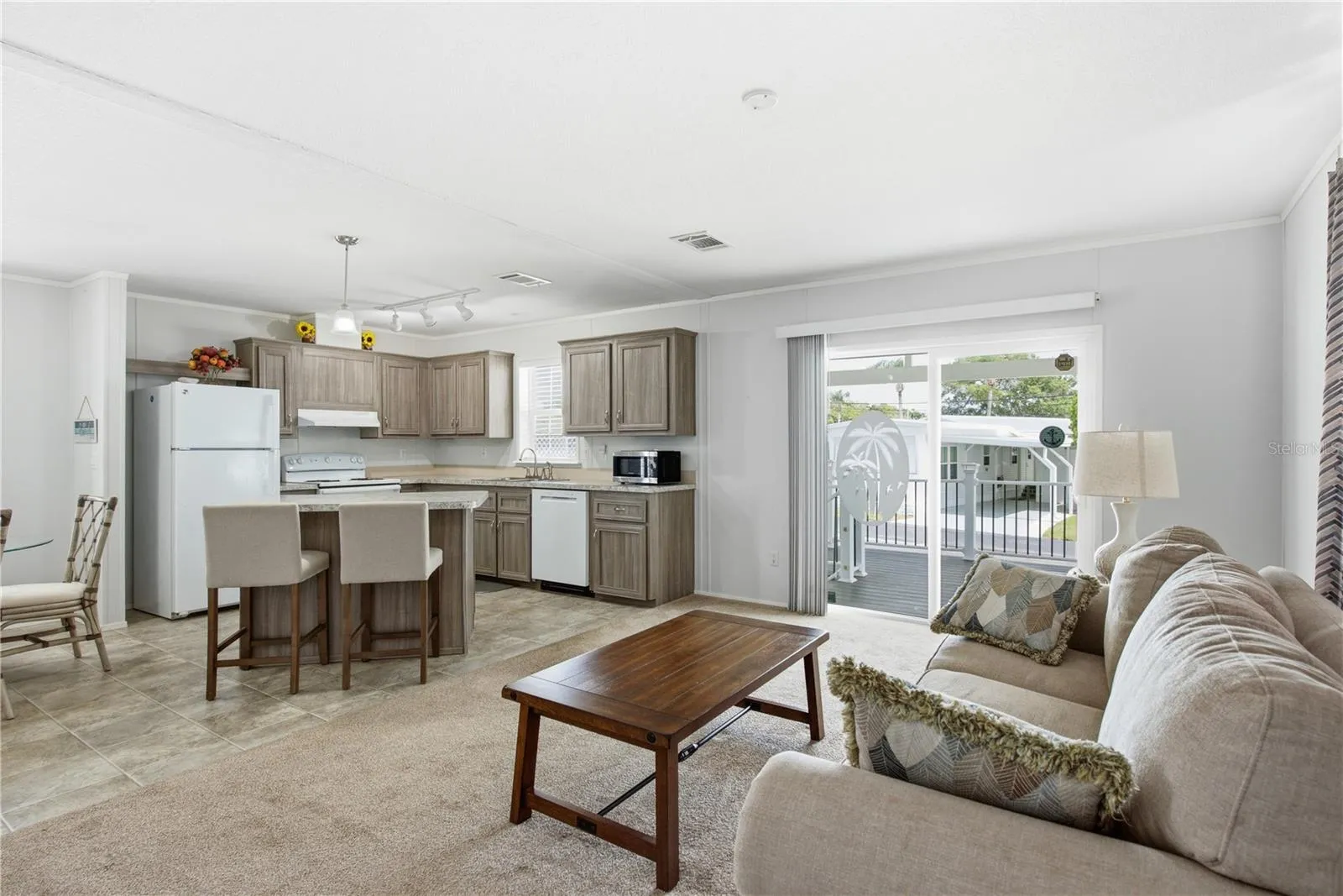 Living room and kitchen