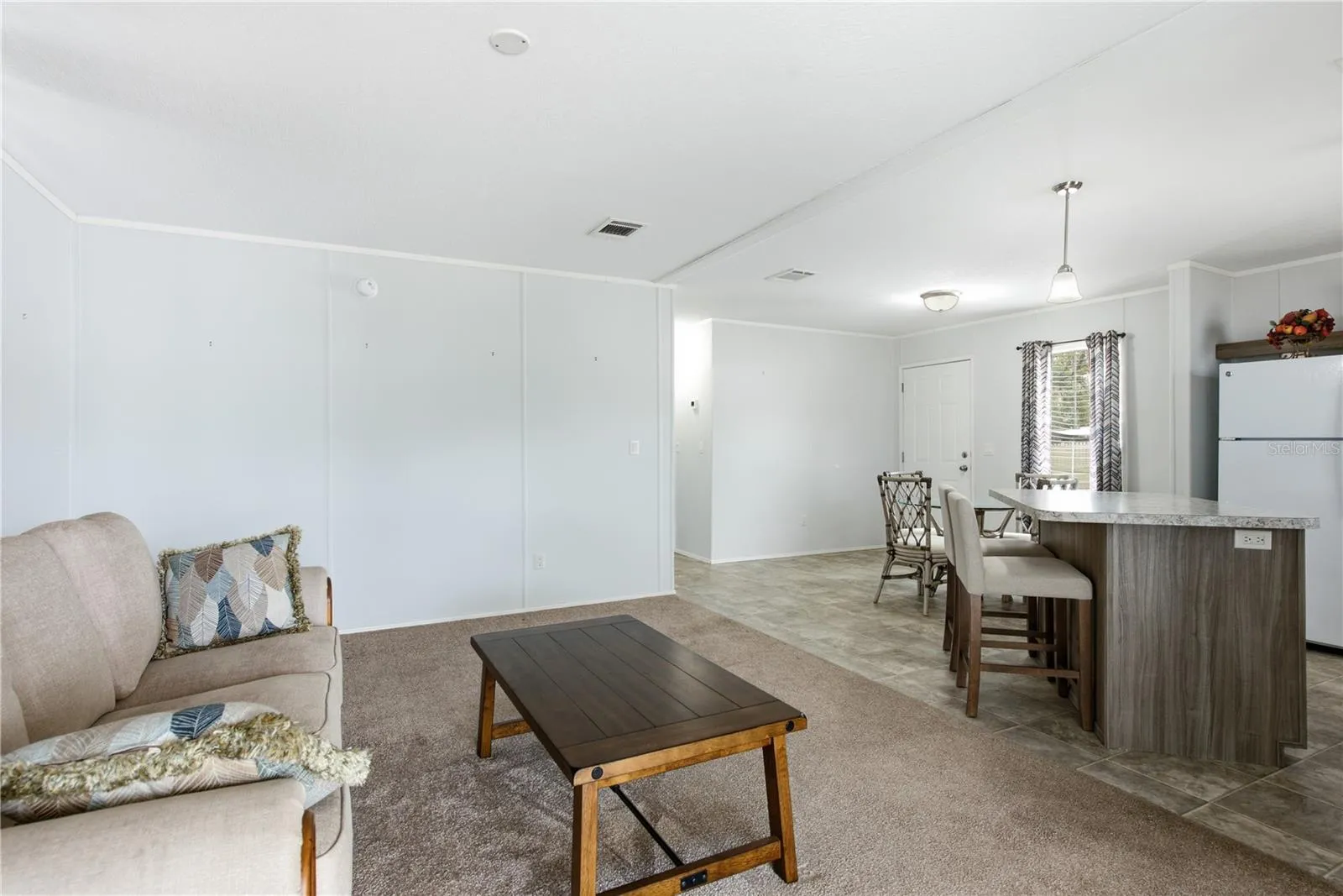 Open living room, kitchen and dining