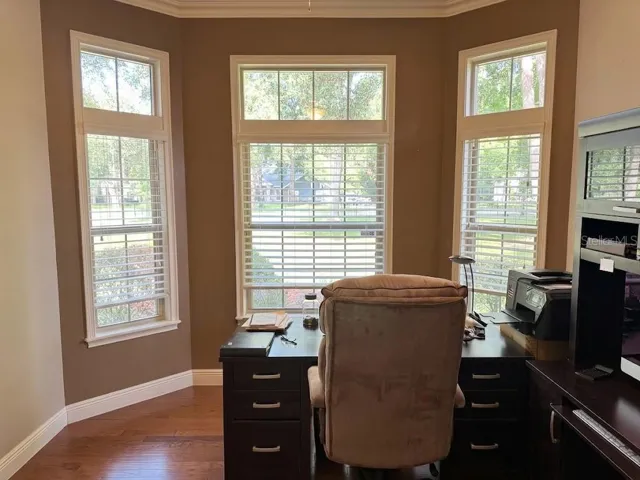 Study or Guest Bedroom