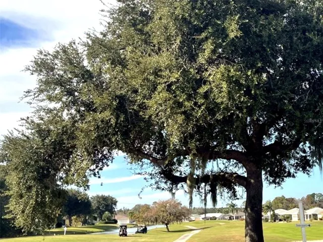 Schedule your tee time and enjoy