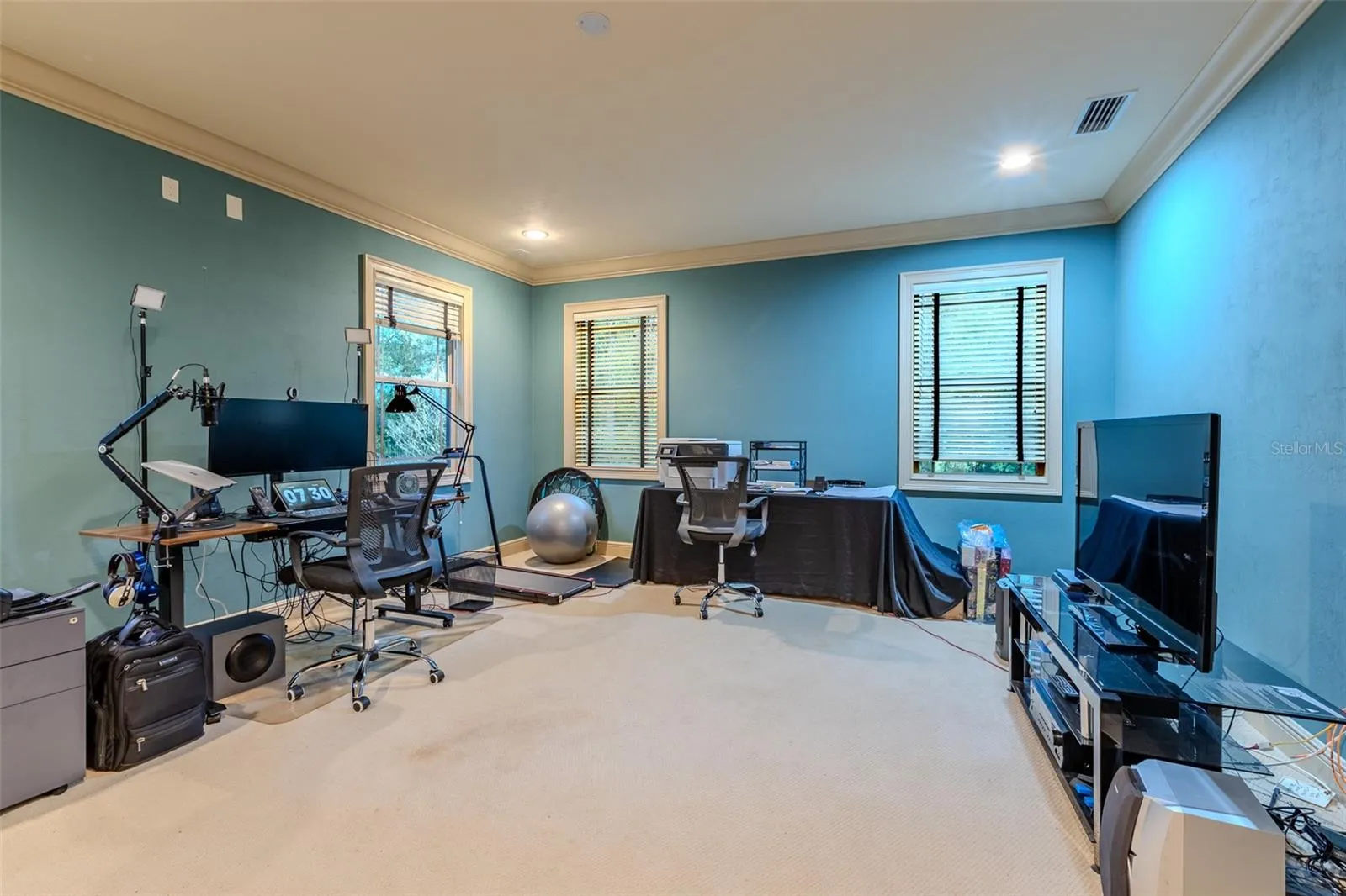 Flex space/Entertainment Room