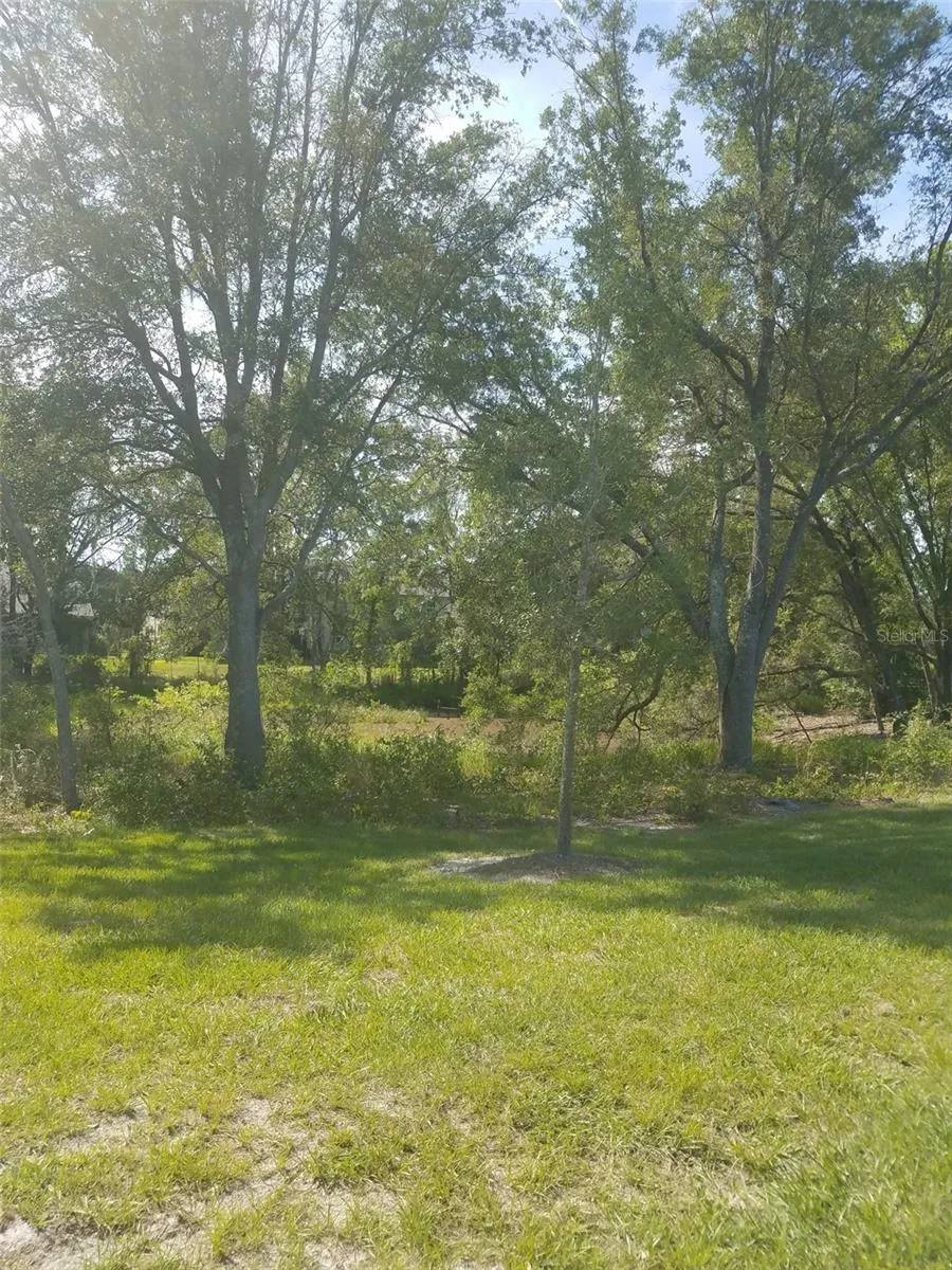 Wooded Area