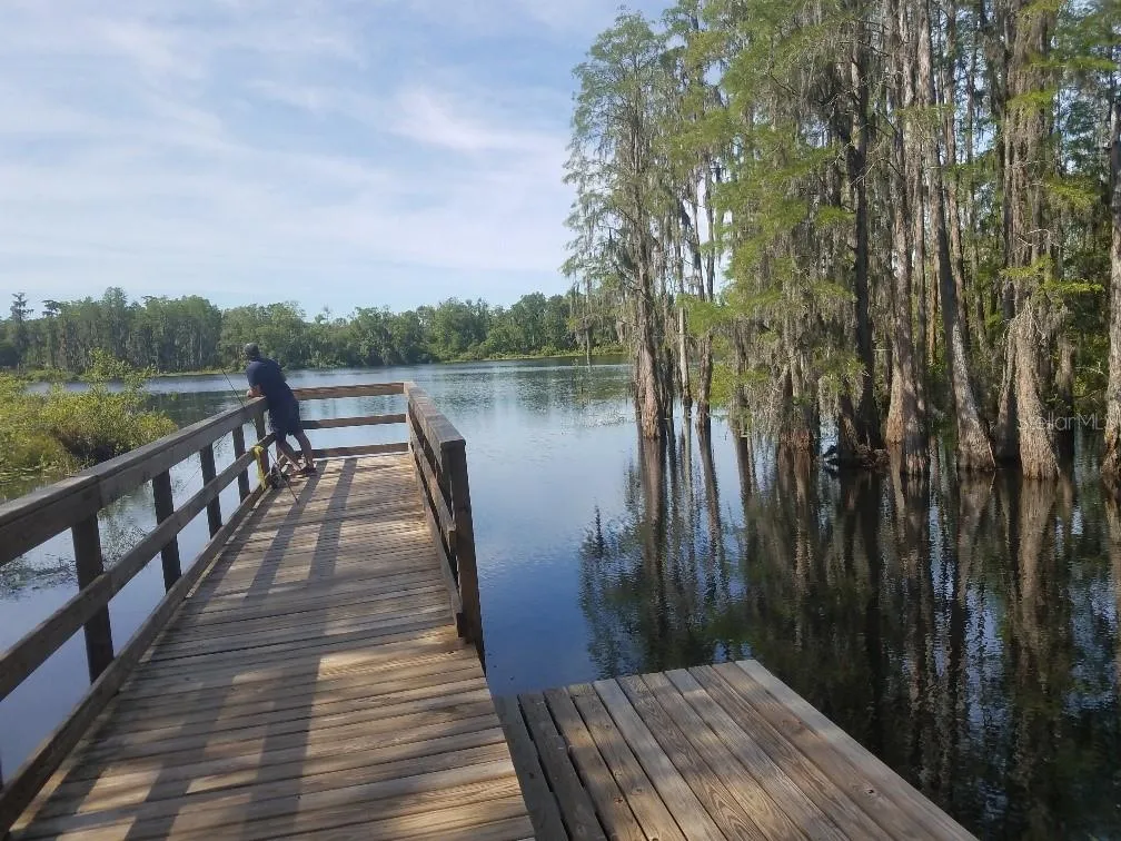 Dock