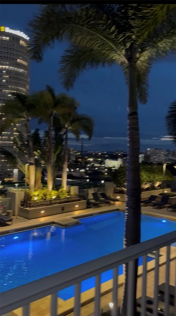 your view at night. No filter.