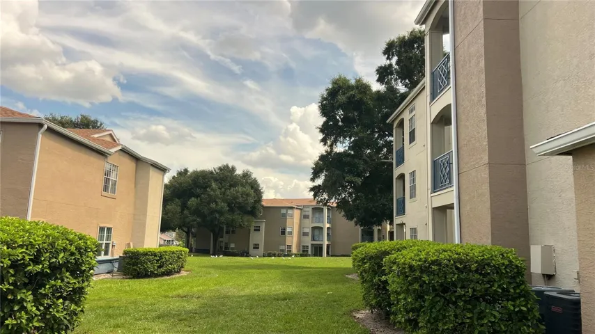 Side Yard