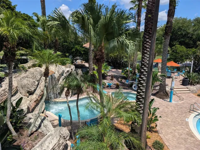 Your Oasis