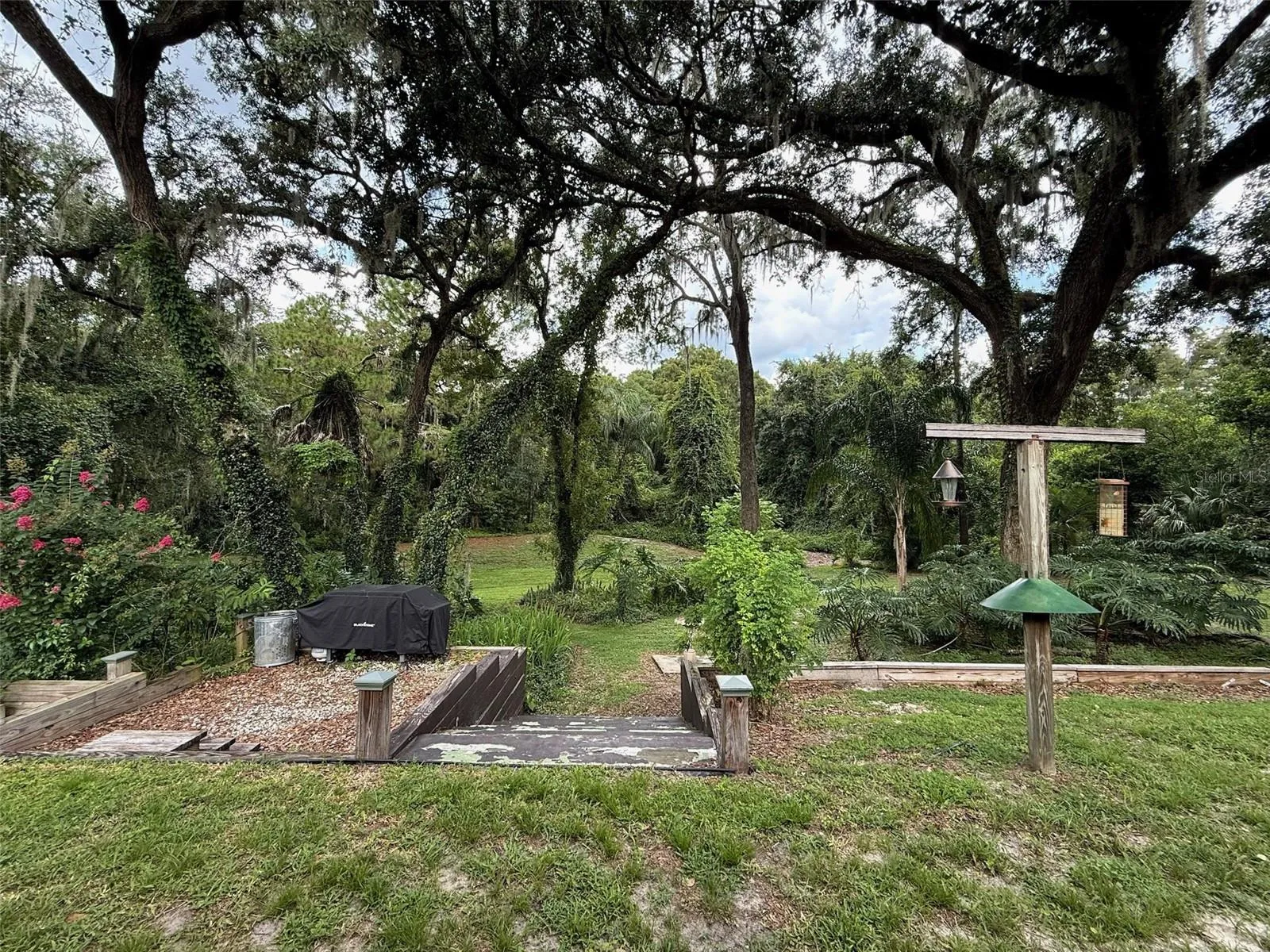 Backyard conservation area