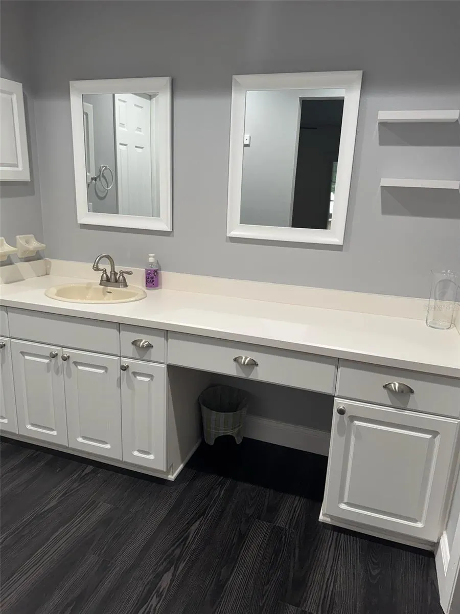 Primary bathroom vanity