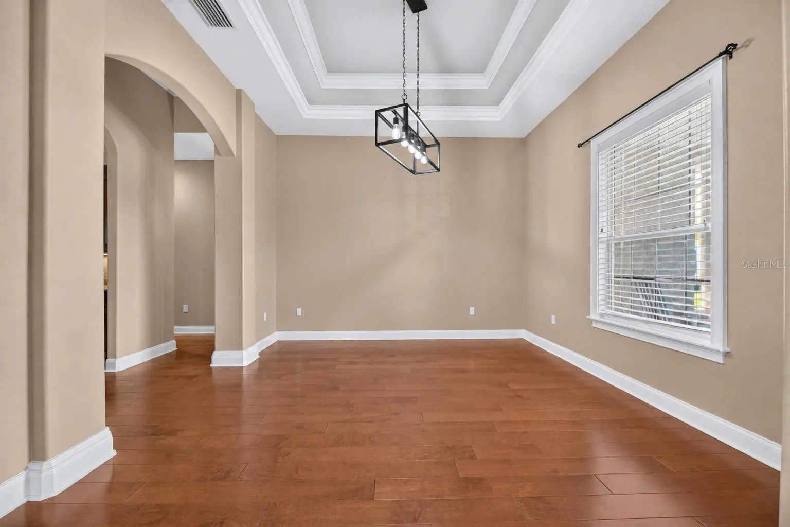 New Lighting and Tray Ceiling