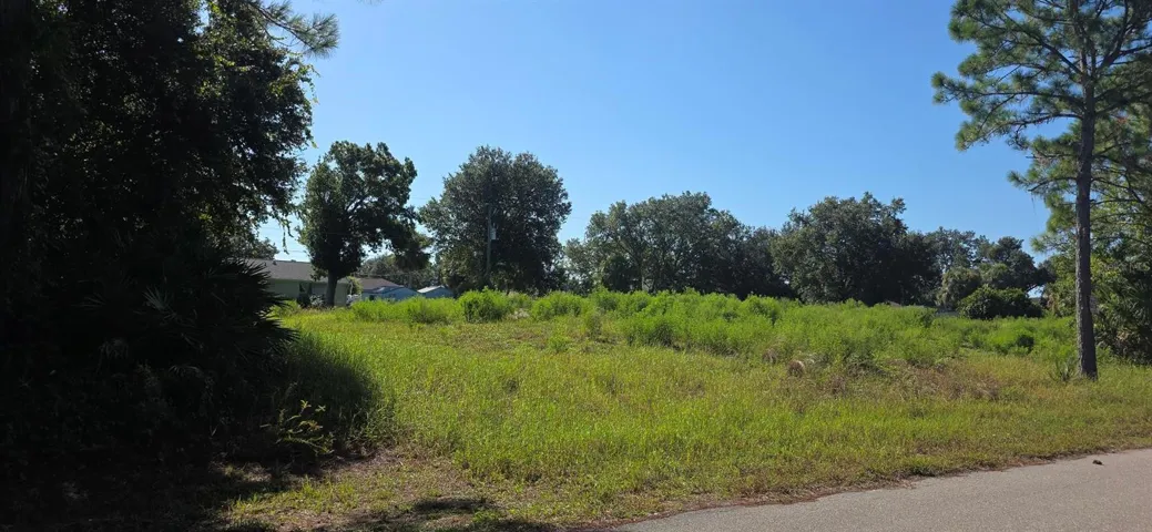 Cleared Double Lot
