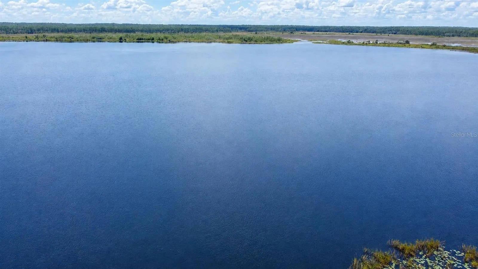 Lake Delancy