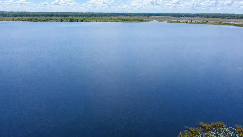 Lake Delancy