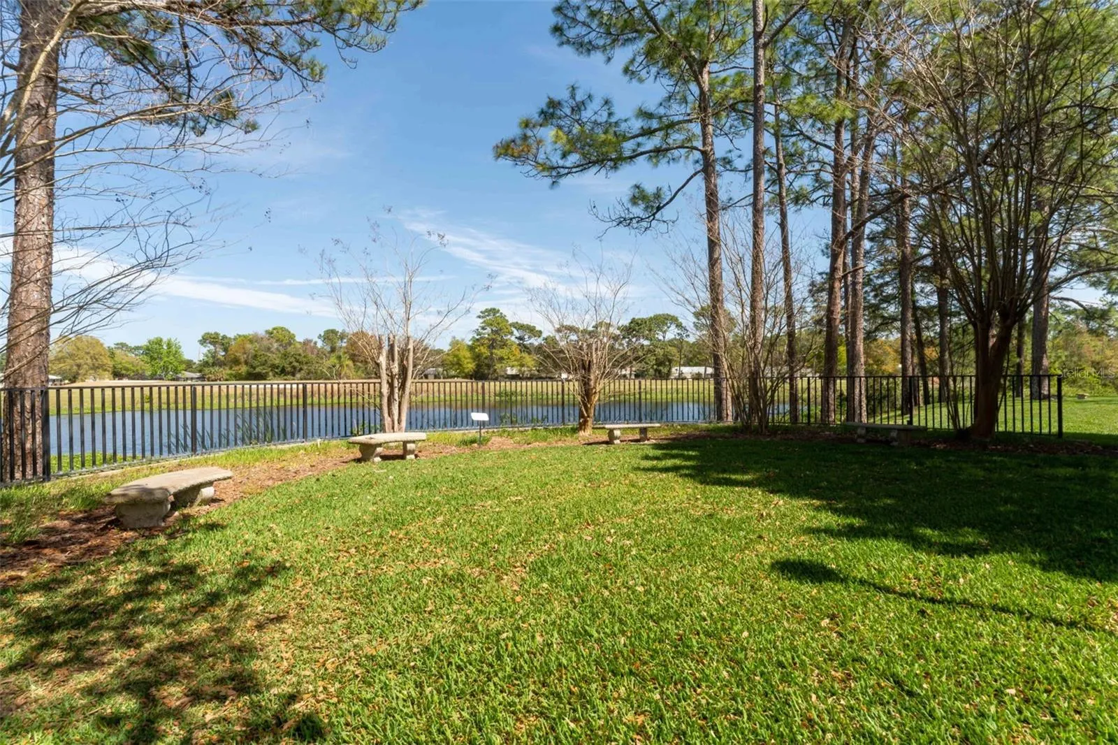 Pond