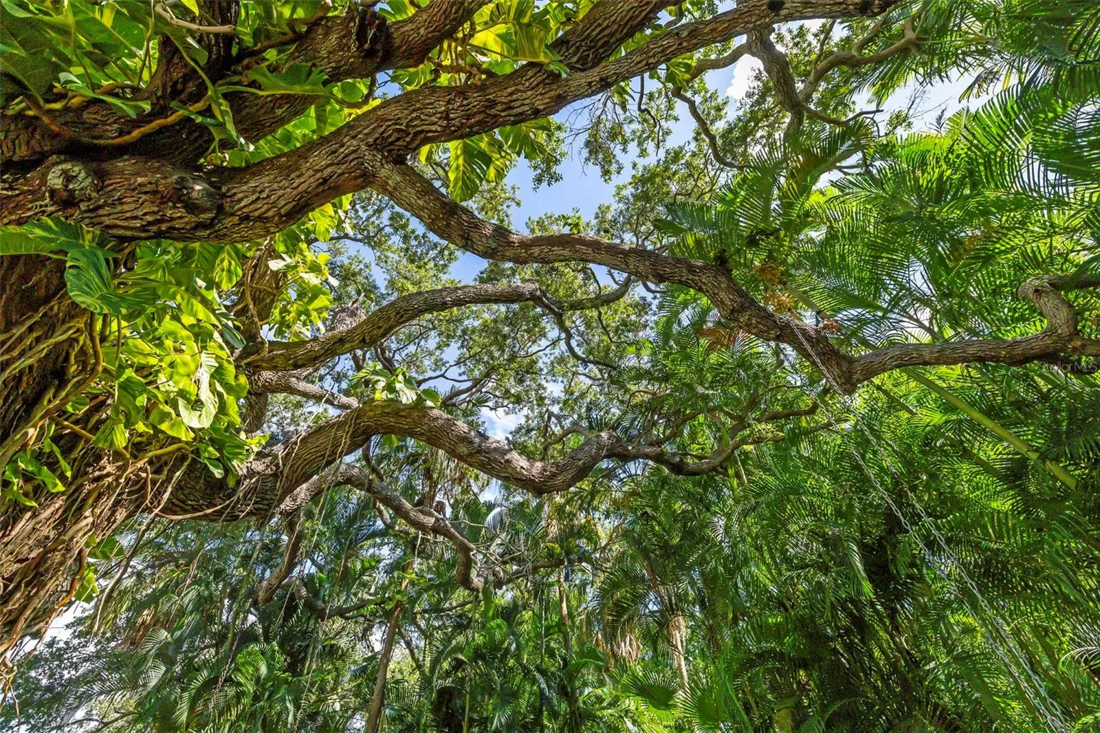 The beauty of nature in your own backyard